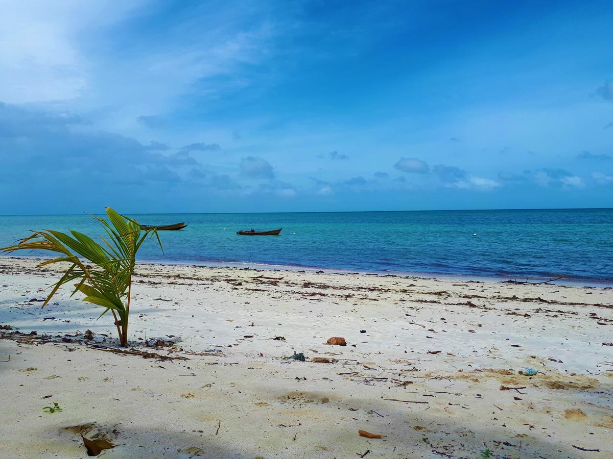 White Coral Beach Resort Radhanagar beach Exterior foto